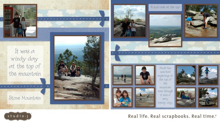 A Windy Day Up On The Mountain